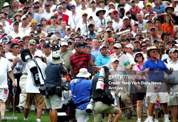 Tiger Woods, along with the gallery, tries to see where his second shot on the third hole landed during the fourth round of play at the 87th PGA...