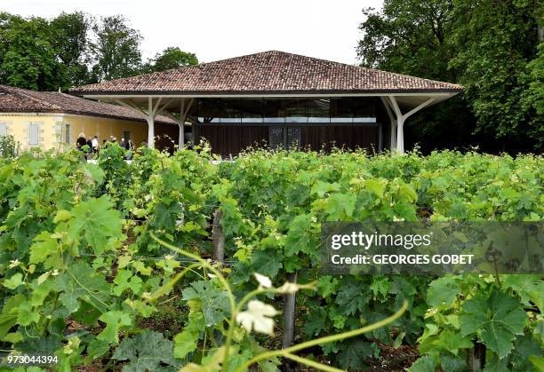 This photo taken on June 11, 2018 shows the outside of Chateau Margaux' wine cellar by Norman Foster near Bordeaux, western France. - The Chateau...