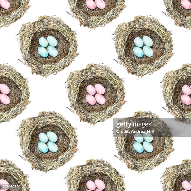 bird nest with eggs pen and ink vector seamless pattern - robin stock illustrations