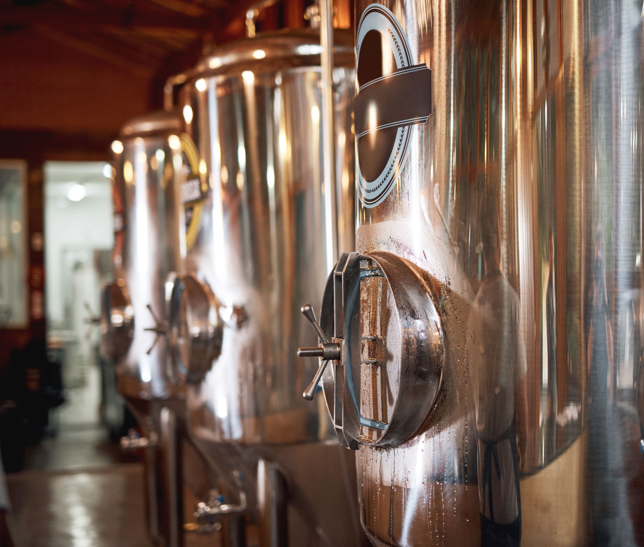 dogfish head brewery