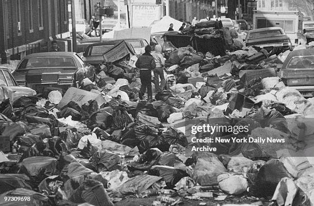 Bay Ridge Photos and Premium High Res Pictures - Getty Images
