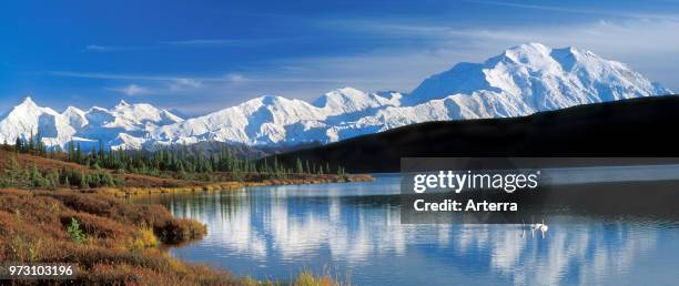 The Alaska Range with Mount McKinley and Wonder Lake with Tundra swans in the fall, Denali National Park, Alaska, USA.