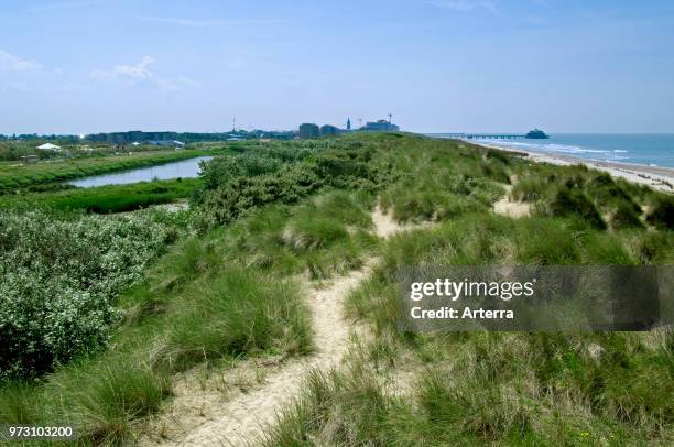 Nature reserve De Fonteintjes in the dunes between Blankenberge and Zeebrugge along the North Sea coast, Belgium.