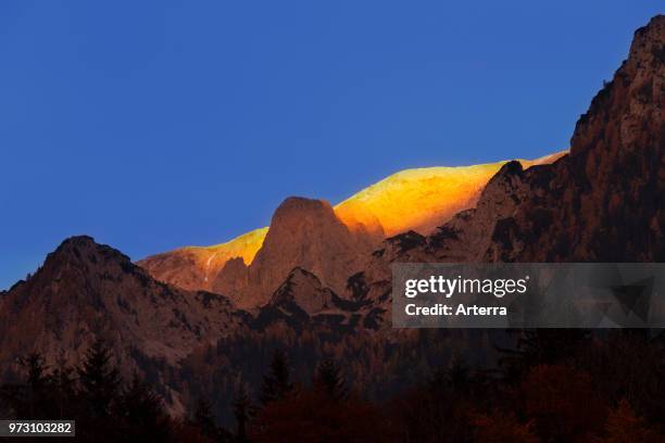 Alpenglow over Hoher Goll, highest mountain peak of the Goll massif near Obersalzberg in the Berchtesgaden Alps, Bavaria, Germany.