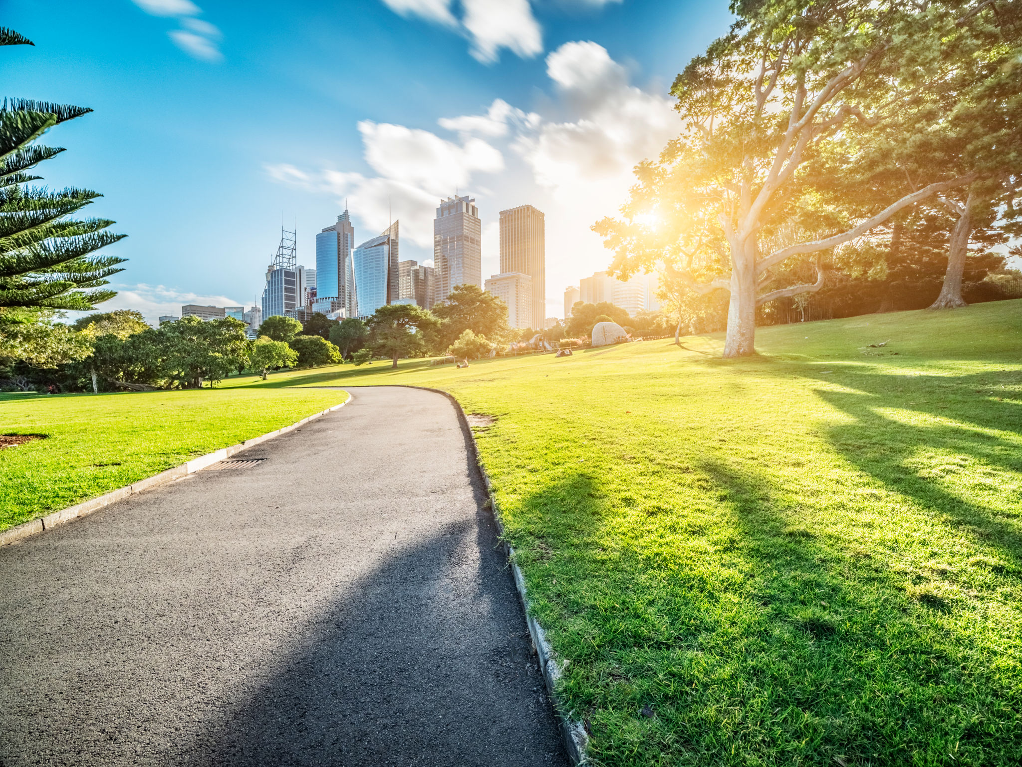 north sydney park