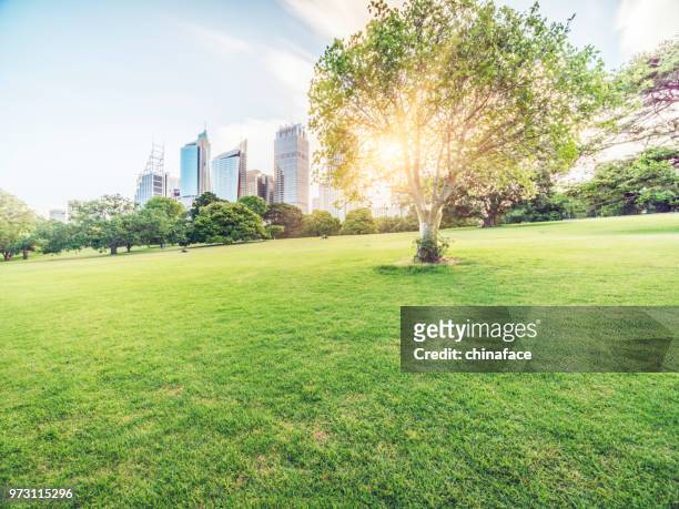central business district of sydney at daytime - chinaface stock pictures, royalty-free photos & images