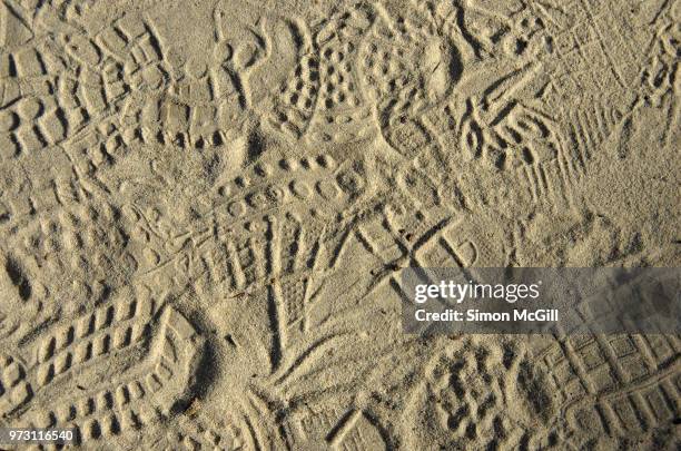 shoeprint-background-photos-and-premium-high-res-pictures-getty-images