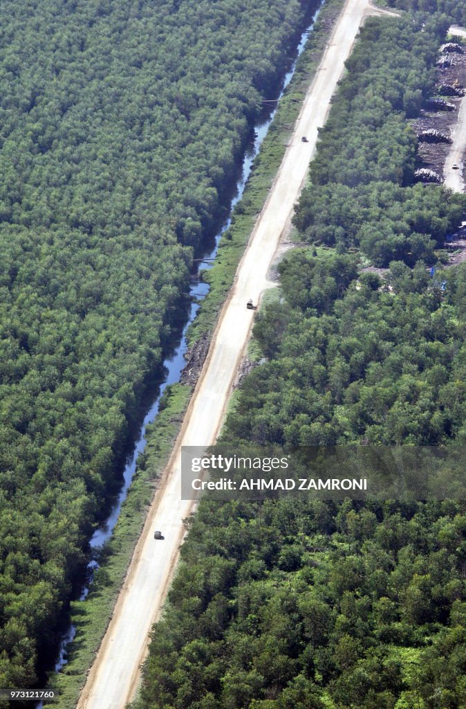 INDONESIA-ENVIRONMENT-CLIMATE-PEATLAND
