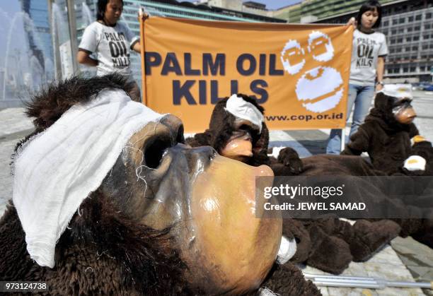 Activists of the Centre for Orangutan Protection dressed like injured orangutans take part in a demonstration in Jakarta on May 8, 2008 to voice...
