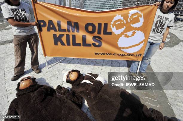 Activists of the Centre for Orangutan Protection dressed like an injured orangutans lay on the ground as others display a banner during a...