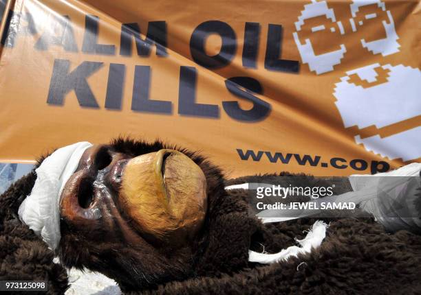 An activist of the Centre for Orangutan Protection dressed like an injured orangutan, lays on the ground as others display a banner during a...