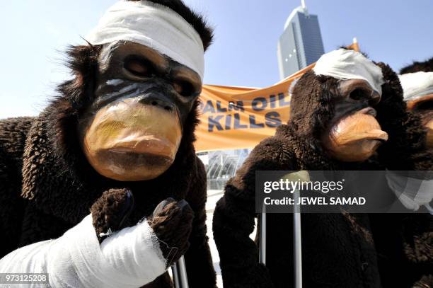 Activists of the Centre for Orangutan Protection dressed as injured orangutans take part in a demonstration in Jakarta on May 8, 2008 to voice...