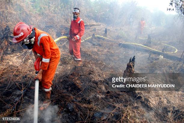 This photo taken on August 1, 2009 shows a Greenpeace team extinguishing fires in Kuala Cinaku of Indragiri Hulu district, Riau province on the...