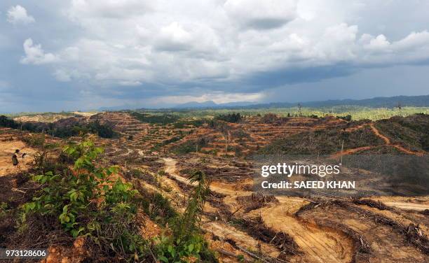 Malaysia-environment-rights-Penan BY SARAH STEWART In a picture taken on August 19 a journalist films a logged area prepared for plantation near...