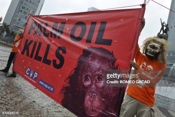Indonesian activists from the Centre for Orangutan Protection wearing ape masks display a banner blaming the clearing of land for palm oil...