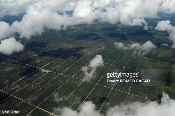 This aerial photograph taken on July 5 shows land cleared for palm oil plantation beside a shrinking natural forest cover seen at right, located in...