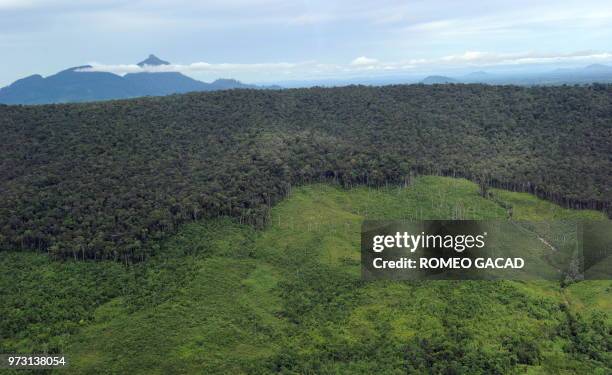 This aerial picture taken on July 6 over eight concession areas of Indonesia's biggest palm oil firm Sinar Mas, shows receding forest cover near...