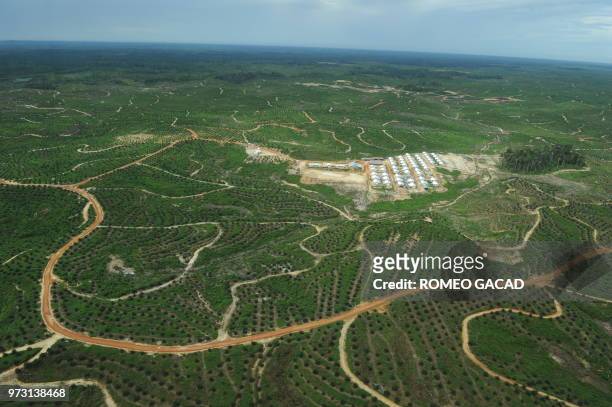 This aerial picture taken on July 6 over eight concession areas of Indonesia's biggest palm oil firm Sinar Mas, shows the company's palm oil...