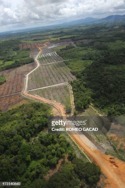 This photograph taken during a media trip organized by Sinar Mas on August 2, 2010 shows a stretch of clearing for palm oil bounded by forest...
