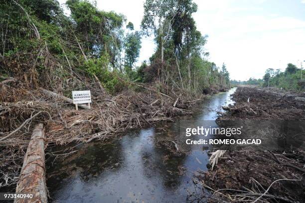 In this photograph taken during a media trip organized by Sinar Mas on August 2, 2010 shows a newly constructed canal cutting through a peat land...