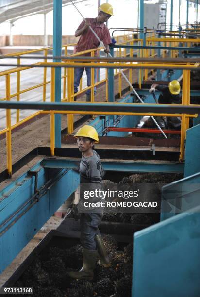 In this photograph taken during a media trip organized by the palm oil unit of Sinar Mas, PT SMART , on August 2, 2010 workers load palm oil fruits...