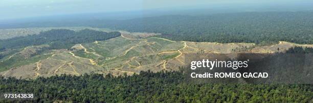 In this panoramic composite image from two photographs taken on August 5, 2010 during an aerial survey by Greenpeace over Sumatra island shows...