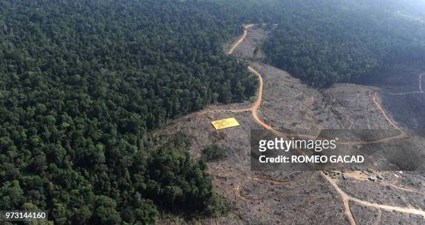 Greenpeace activists display a large banner on August 5, 2010 with a message "APP stop destroying tiger forest" at the PT. Tebo Multi Agro concession...