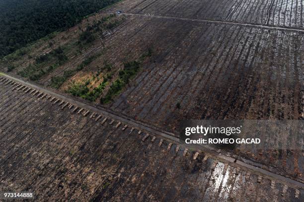 In this photograph taken on August 5, 2010 during an aerial survey organized by Greenpeace, stacks of timber logged on a vast pulpwood concession...