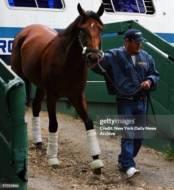 Triple Crown hopeful Big Brown, the winner of the Kentucky Derby and the Preakness arrives with Groom Ramiro Flores May 19, 2008 at Belmont Race Park...