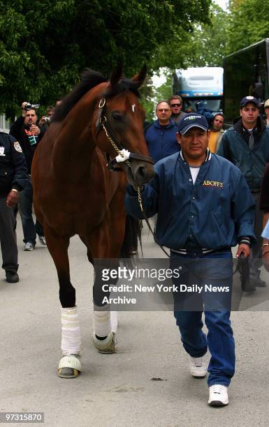 Triple Crown hopeful Big Brown, the winner of the Kentucky Derby and the Preakness arrives with Groom Ramiro Flores May 19, 2008 at Belmont Race Park...
