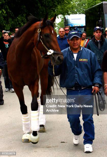 Triple Crown hopeful Big Brown, the winner of the Kentucky Derby and the Preakness arrives with Groom Ramiro Flores May 19, 2008 at Belmont Race Park...