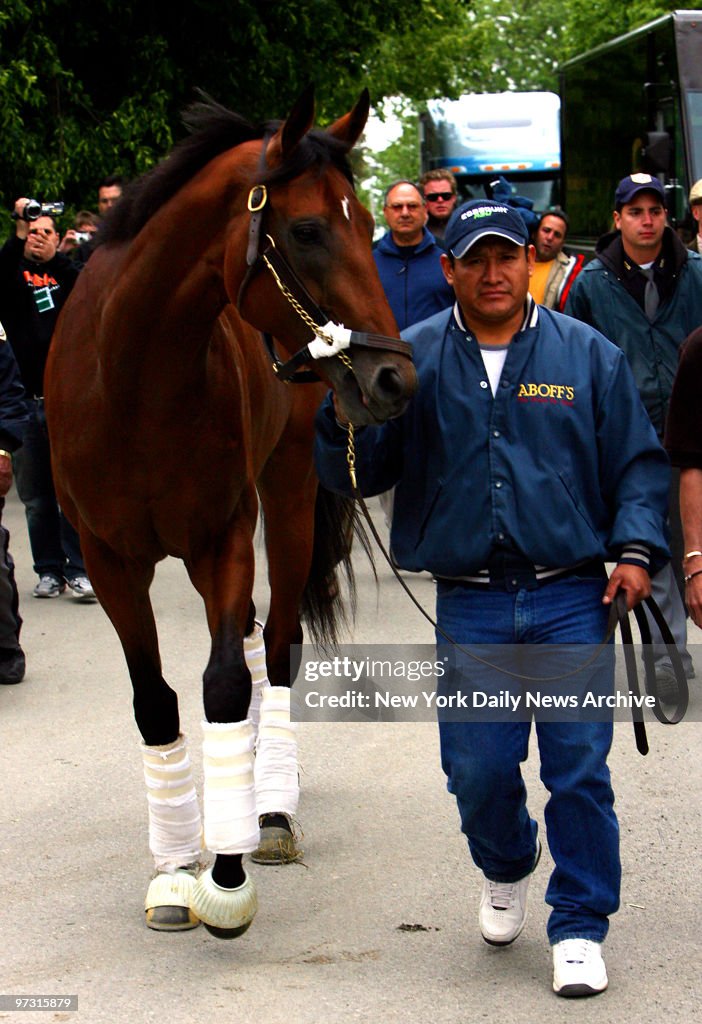 Triple Crown hopeful Big Brown, the winner of the Kentucky D