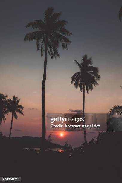 Sun Rong Photos and Premium High Res Pictures Getty Images