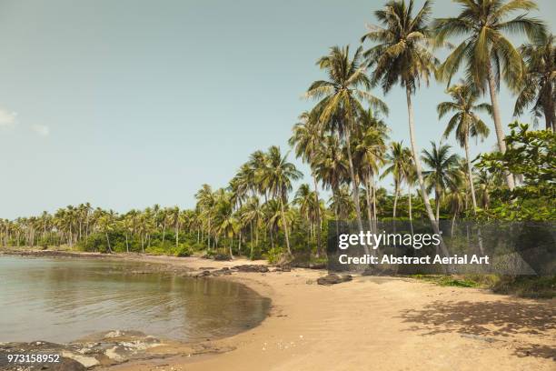 Sun Rong Photos and Premium High Res Pictures Getty Images