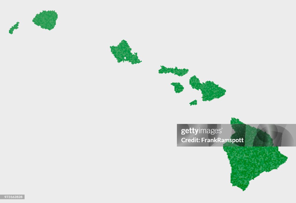 Hawaii US State Map Green Hexagon Pattern