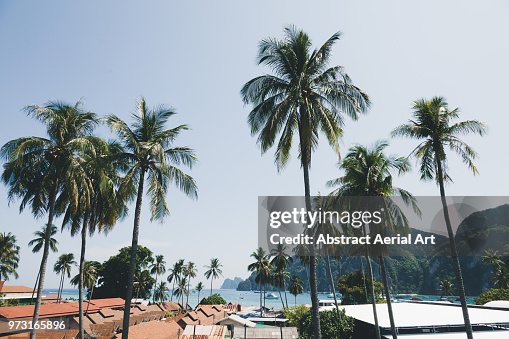 Phi Phi Island Phi Phi Island