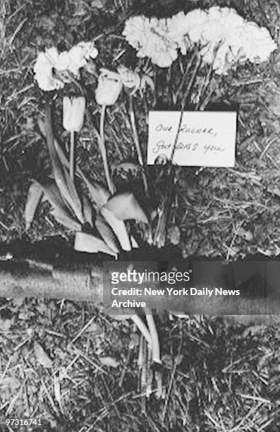 Tulips and carnations are left near scene of wolf pack's attack of Central Park jogger with a prayer for the victim, "Our Runner, God Bless You."...