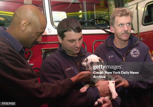 Twenty, a Dalmation puppy that Rochester sheriff's deputies gave to Ladder Co. 20 on Lafayette St., is immediate best friends with Firefighters Greg...