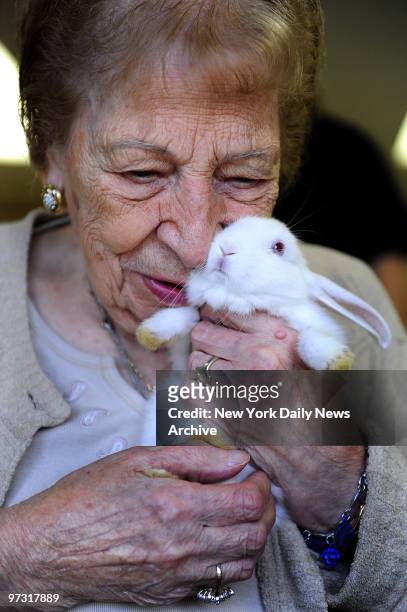 Grace Palmigiano with bunny rabbit during Pet Therapy session at Senior home which brings peace and smiles to the resident's faces. Andre Ricoud is a...