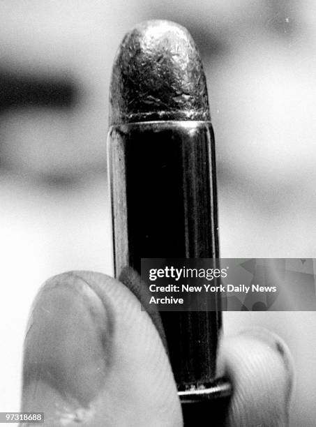 Type of bullet from .44 Bulldog revolver used by David Berkowitz.