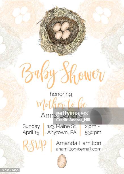 bird nest vector baby shower invitation design template - easter nest stock illustrations
