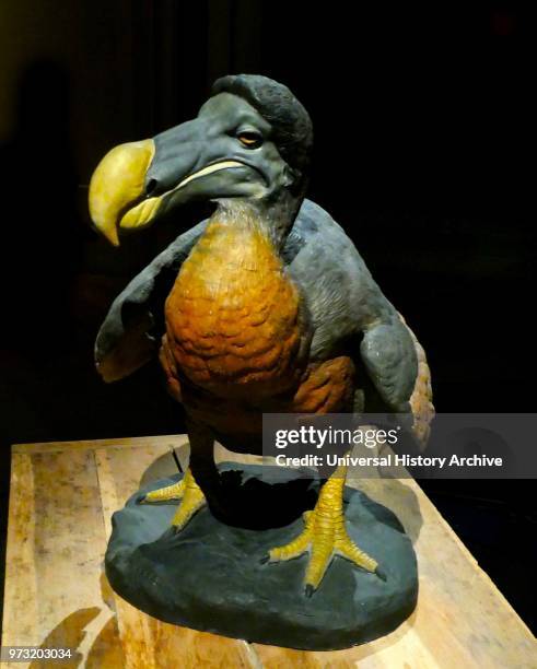 Dodo Def Dodo Mauritius Photos and Premium High Res Pictures - Getty Images