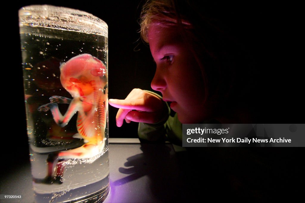 Julia van Zweiten, 9, of Scarsdale, N.Y., takes a closeup lo
