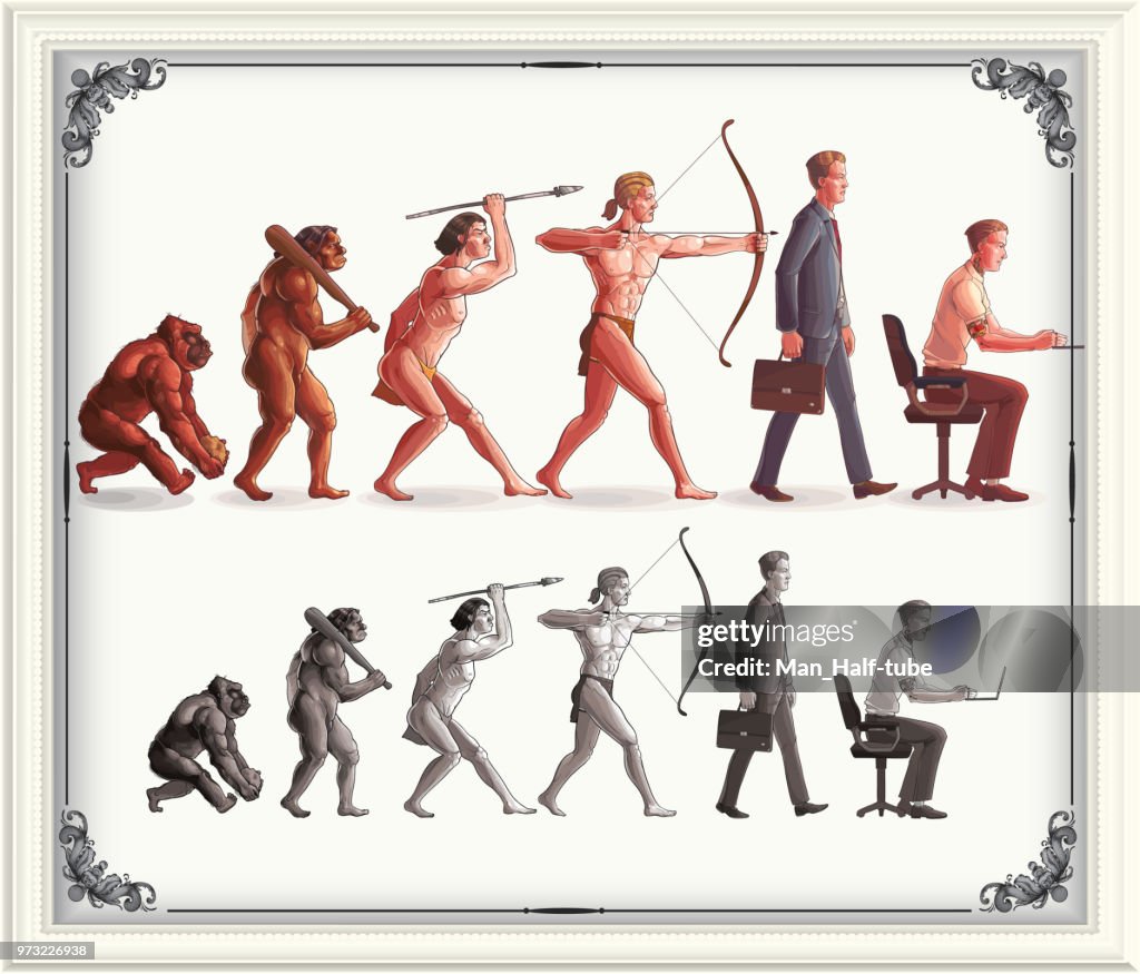 Human evolution