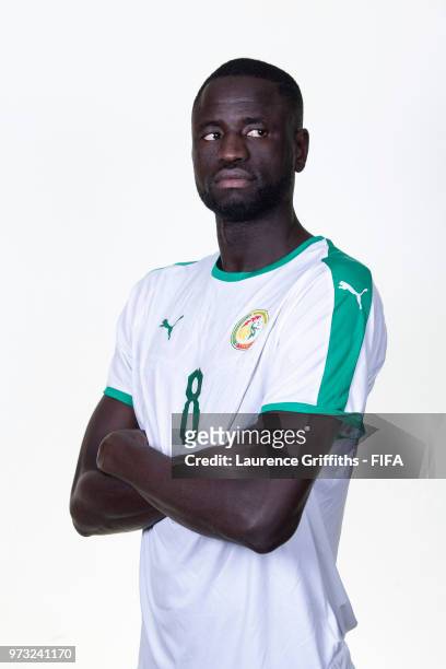 Cheikhou Kouyate of Senegal poses for a portrait during the official FIFA World Cup 2018 portrait session at the Team Hotel on June 13, 2018 in...