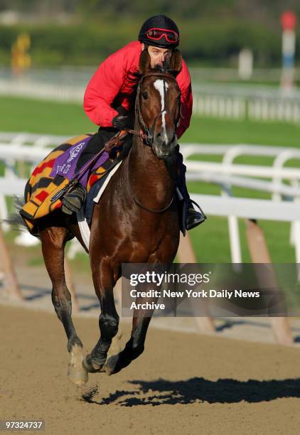 Valixir runs the track at Belmont Park in preparation for the 2005 NetJets Breeders' Cup Mile, one of eight races in the 22nd Breeders' Cup World...