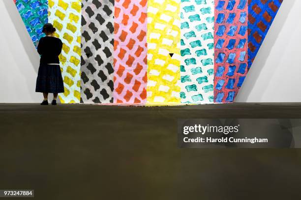 Visitor looks at the artwork of Claude Viallat "Untitled" during the press preview for Art Basel at Basel Messe on June 13, 2018 in Basel,...