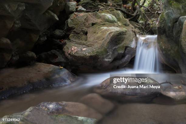 silky waterfall, river cuadros. in the place of the cave of the water in bedmar. province of jaén. in andalusia. spain - a cuadros stockfoto's en -beelden