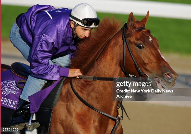 Super Frolic runs the track at Belmont Park in preparation for the 2005 Breeders' Cup Classic, one of eight races in the 22nd Breeders' Cup World...