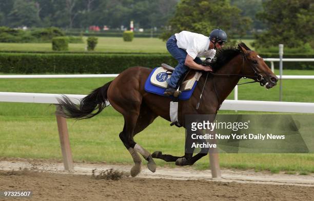 Deputy Glitters is on the track for a morning workout at Belmont Park in Elmont, N.Y. The 138th running of the Belmont Stakes will take place on...